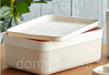 PLASTIC ALESTA ORGANIZER BOX WITH LID 3LTR