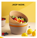 6 pieces Shallow Bowl Set