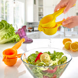 Plastic Smart  Lemon Press