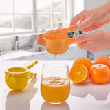 Plastic Smart  Lemon Press